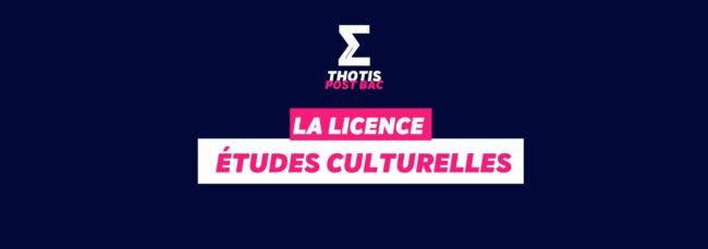 Licence études culturelles